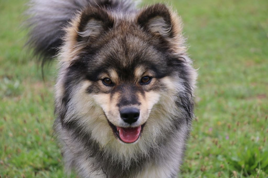 Pixar boo Du Pays Des Mille Lacs