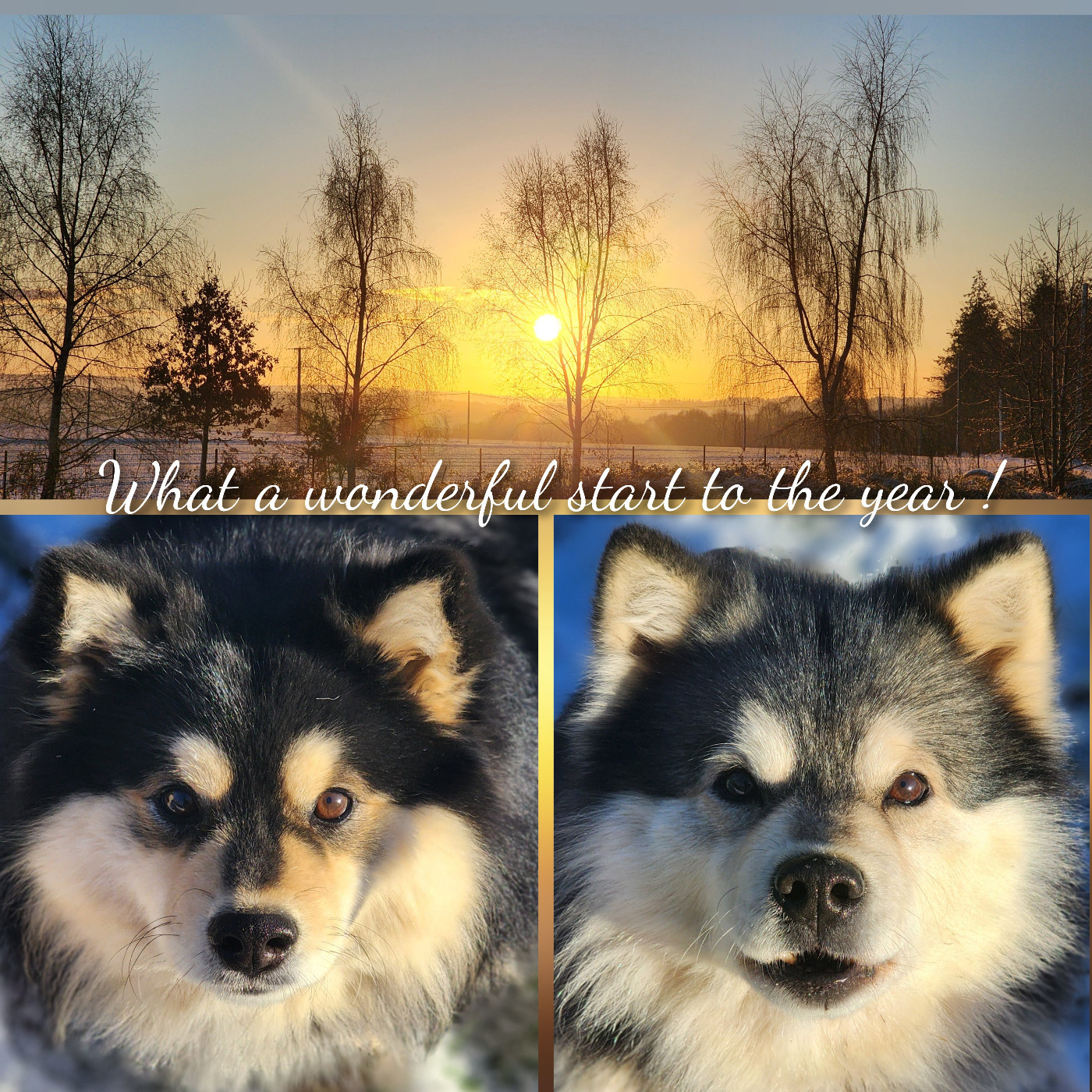 Effie et Katniss sont gestantes !!!