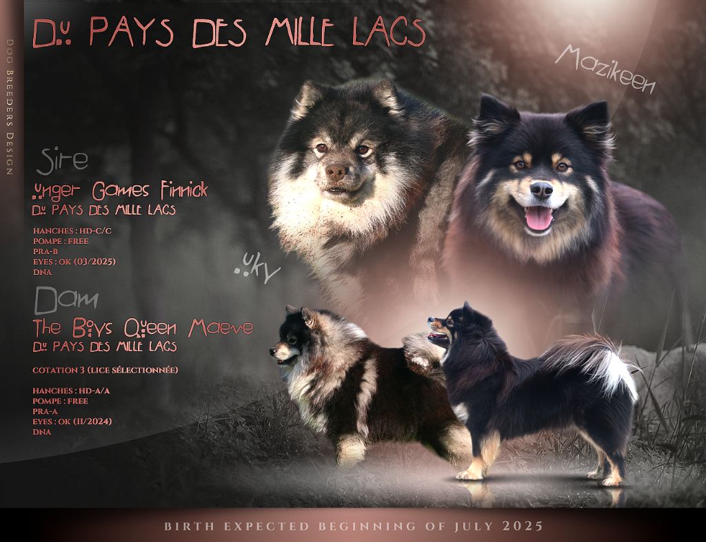 Bientôt des nouveaux p'tits loups au Pays des Mille Lacs !